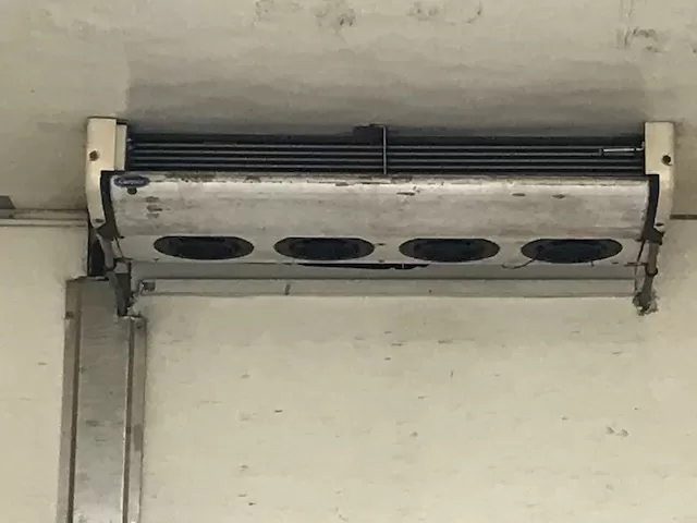 Isuzu isotermico con gruppo frigo in vendita su AVI